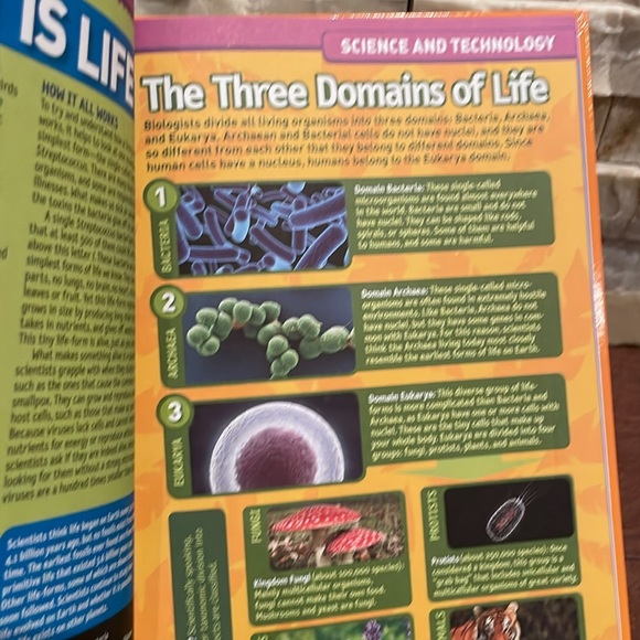 National Geographic Kids Science Almanac - Picture 4 of 5